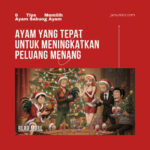 6 Tips Memilih Ayam Sabung Ayam yang Tepat untuk Meningkatkan Peluang Menang